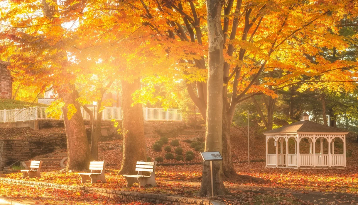 The white pavilion at Lititz Springs Park framed by leaves