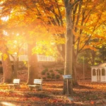 The white pavilion at Lititz Springs Park framed by leaves